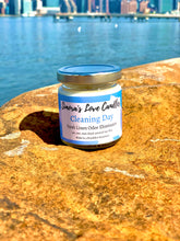 Load image into Gallery viewer, Cleaning Day