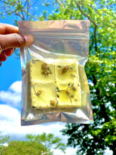 Load image into Gallery viewer, Wax Melts